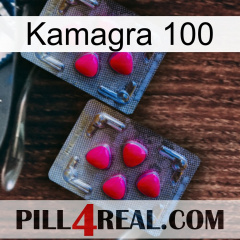 Kamagra 100 14